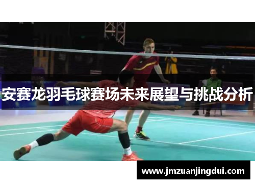 安赛龙羽毛球赛场未来展望与挑战分析